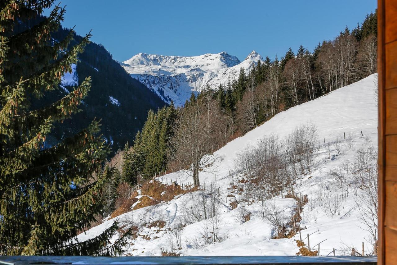 Appartementhaus Tannenberg Σάαλμπαχ-Χίντεργκλεμ Εξωτερικό φωτογραφία